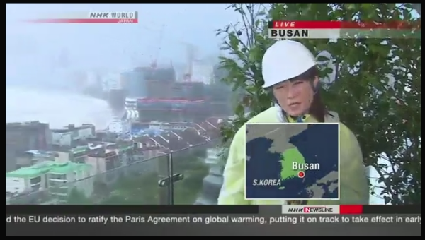 2016 NHK WORLD NEWSLINE Typhoon Chaba Hits S.Korea 写真 3