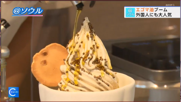 2026年10月　NHK キャッチ！世界トップニュース 写真 2